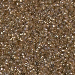 Perles Miyuki Delica 11/0 -...