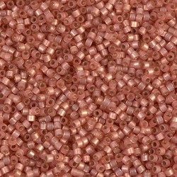 Perles Miyuki Delica 11/0 -...