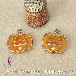 Lot de 2 breloques...