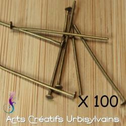 Lot de 100 tiges/clous en...